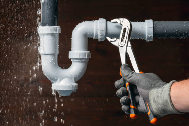 Professional Emergency Plumber technician working in Potterville, MI